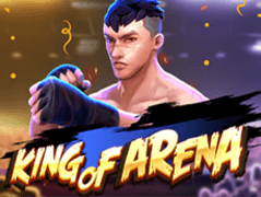 King Of Arena game thumbnail